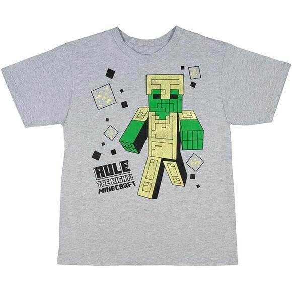 Mojang Boys Gray Graphic Short Sleeve Crew Neck T-Shirt Youth Size Medium - Picture 1 of 5